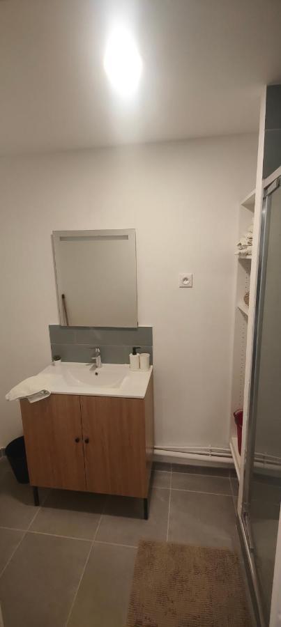 Grand Studio Proche De Paris Saint-Maur-des-Fossés Екстериор снимка