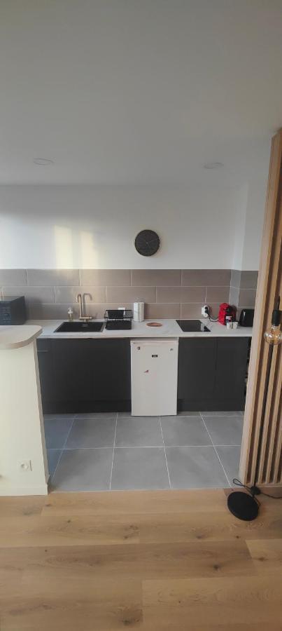 Grand Studio Proche De Paris Saint-Maur-des-Fossés Екстериор снимка