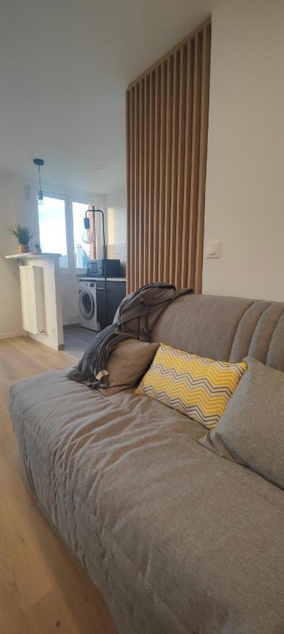 Grand Studio Proche De Paris Saint-Maur-des-Fossés Екстериор снимка